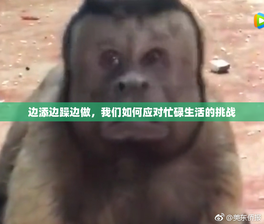 边添边躁边做，我们如何应对忙碌生活的挑战