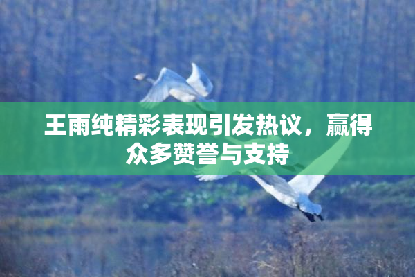王雨纯精彩表现引发热议，赢得众多赞誉与支持