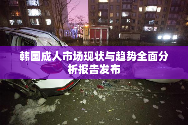 韩国成人市场现状与趋势全面分析报告发布