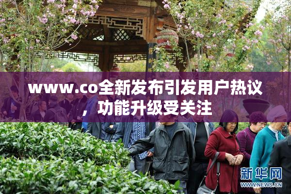 www.co全新发布引发用户热议，功能升级受关注