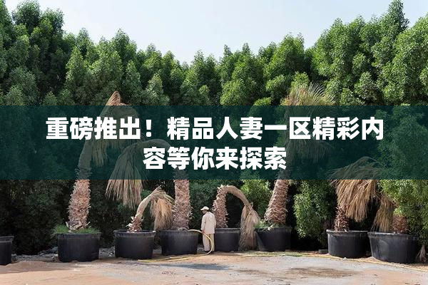 重磅推出！精品人妻一区精彩内容等你来探索