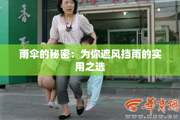 雨伞的秘密：为你遮风挡雨的实用之选