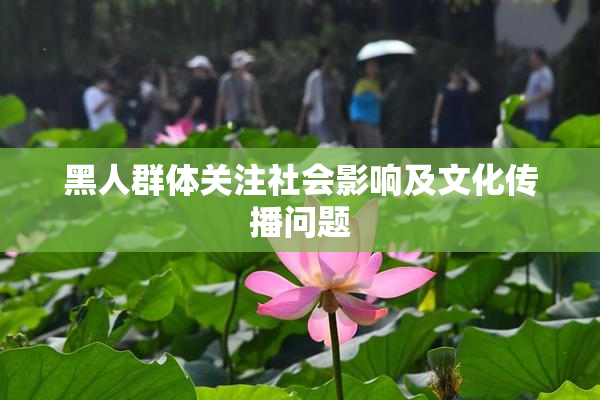 黑人群体关注社会影响及文化传播问题