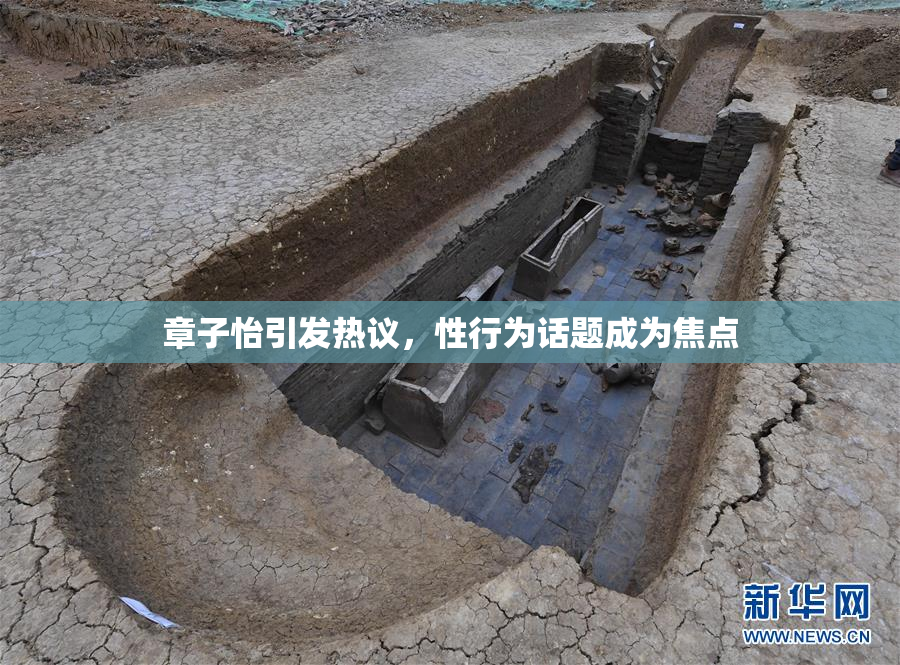 章子怡引发热议，性行为话题成为焦点