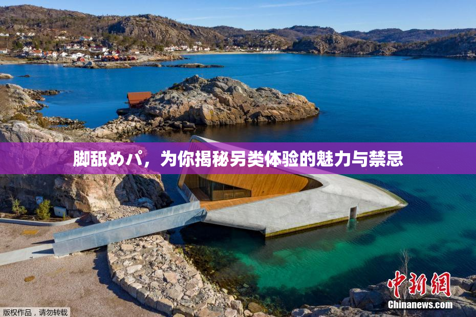 脚舐めパ，为你揭秘另类体验的魅力与禁忌