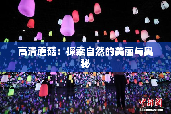 高清蘑菇：探索自然的美丽与奥秘