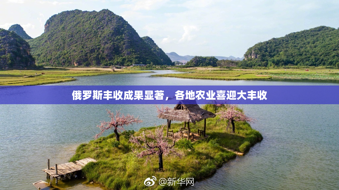 俄罗斯丰收成果显著，各地农业喜迎大丰收
