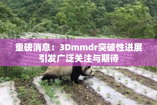 重磅消息：3Dmmdr突破性进展引发广泛关注与期待