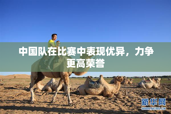 中国队在比赛中表现优异，力争更高荣誉