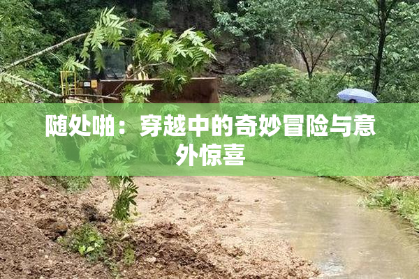 随处啪：穿越中的奇妙冒险与意外惊喜