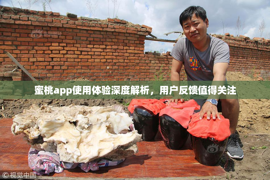 蜜桃app使用体验深度解析，用户反馈值得关注