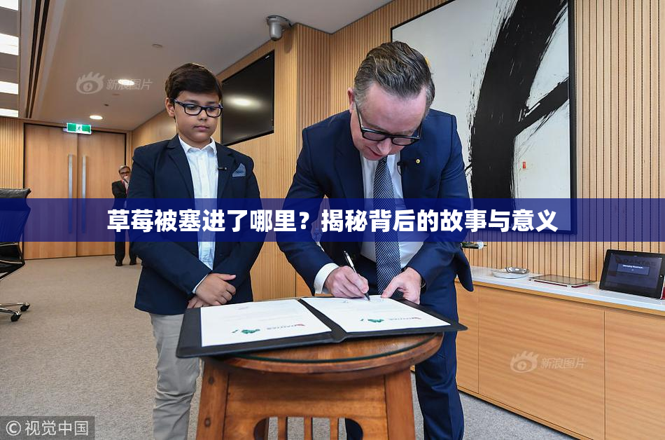 草莓被塞进了哪里？揭秘背后的故事与意义