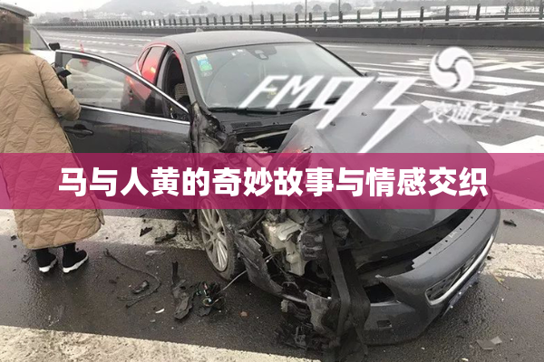 马与人黄的奇妙故事与情感交织