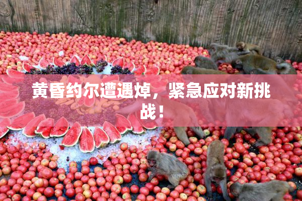 黄昏约尔遭遇焯，紧急应对新挑战！