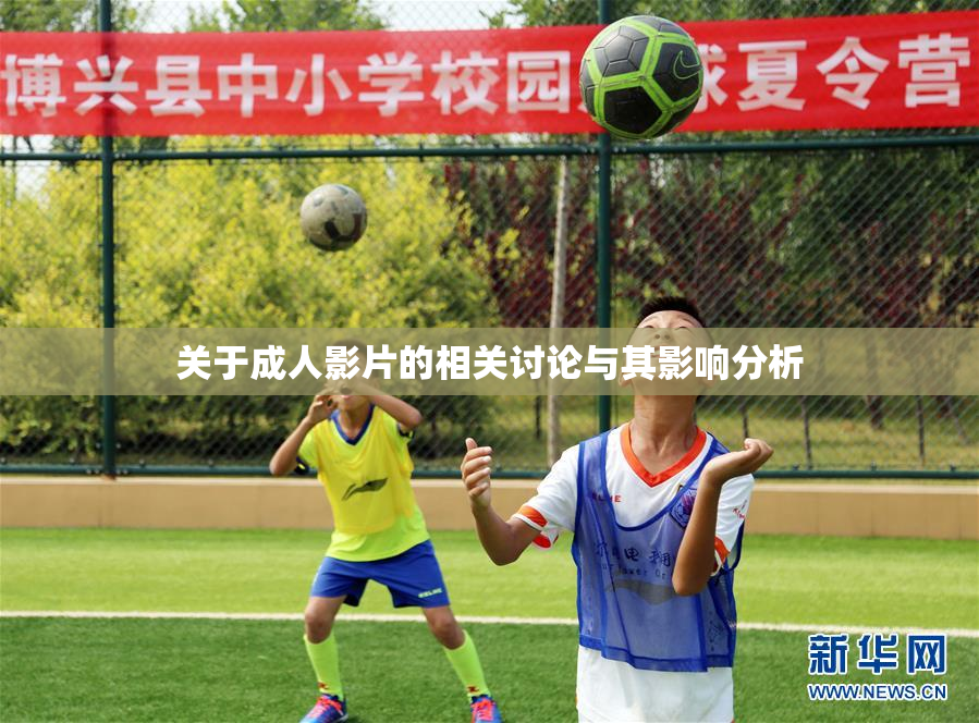 关于成人影片的相关讨论与其影响分析