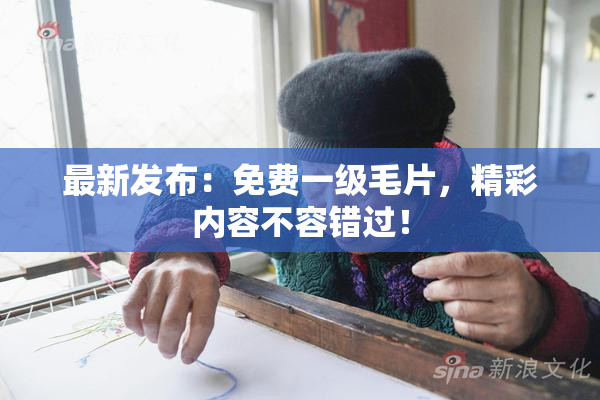 最新发布：免费一级毛片，精彩内容不容错过！