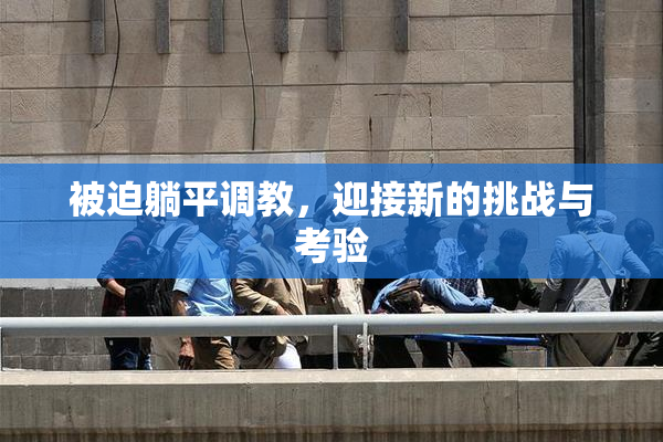 被迫躺平调教，迎接新的挑战与考验