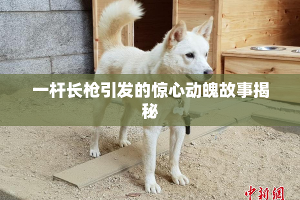 一杆长枪引发的惊心动魄故事揭秘