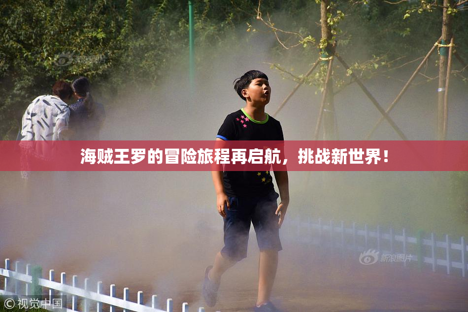海贼王罗的冒险旅程再启航，挑战新世界！