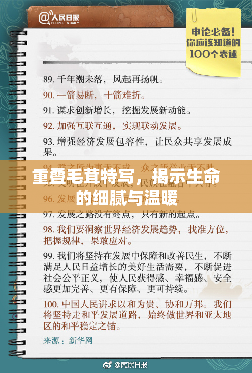 重叠毛茸特写，揭示生命的细腻与温暖