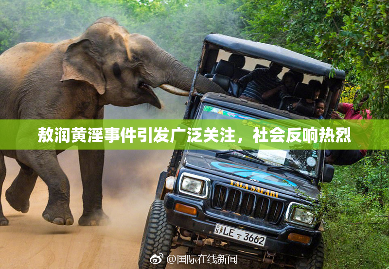 敖润黄淫事件引发广泛关注，社会反响热烈