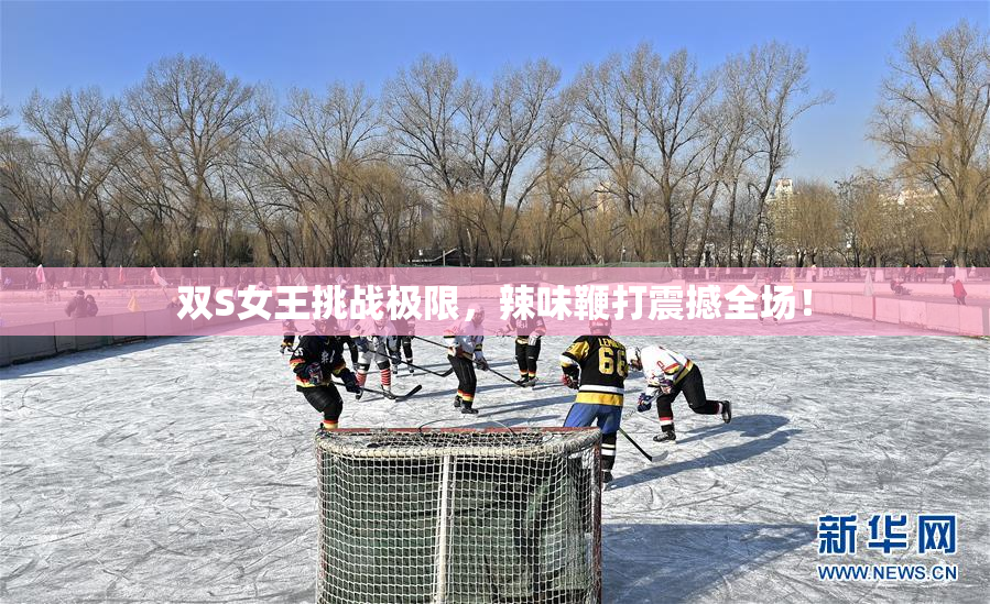 双S女王挑战极限，辣味鞭打震撼全场！