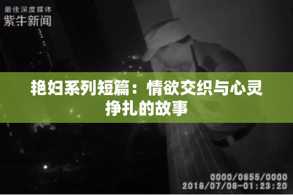 艳妇系列短篇：情欲交织与心灵挣扎的故事