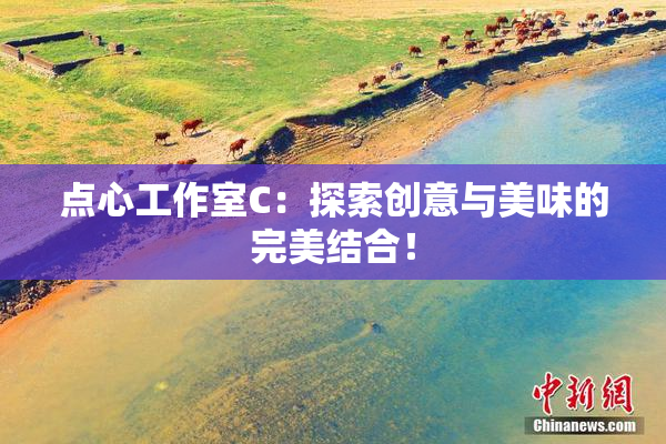 点心工作室C：探索创意与美味的完美结合！