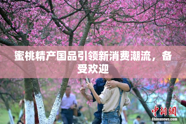 蜜桃精产国品引领新消费潮流，备受欢迎