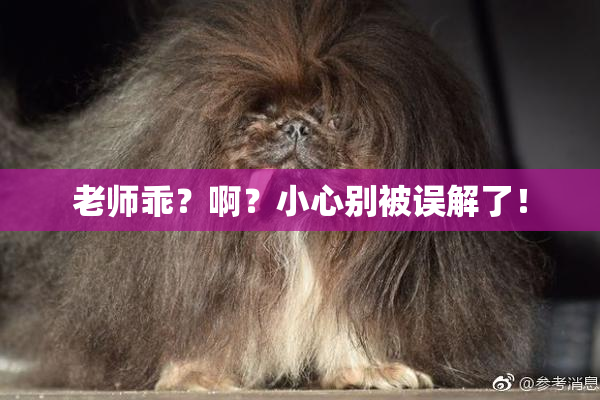 老师乖？啊？小心别被误解了！