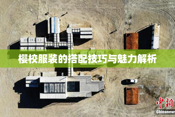 樱校服装的搭配技巧与魅力解析