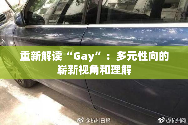 重新解读“Gay”：多元性向的崭新视角和理解