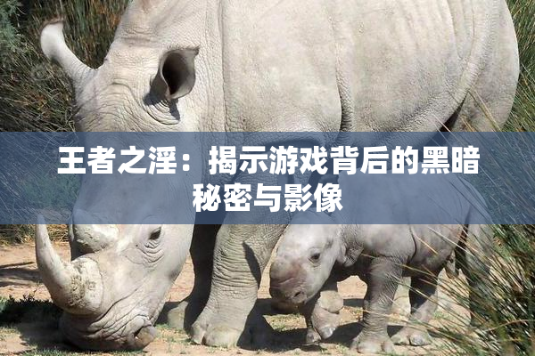王者之淫：揭示游戏背后的黑暗秘密与影像