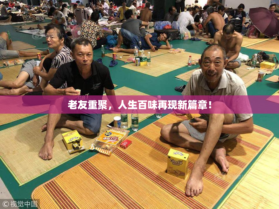 老友重聚，人生百味再现新篇章！