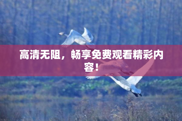 高清无阻，畅享免费观看精彩内容！