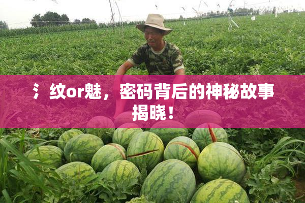 氵纹or魅，密码背后的神秘故事揭晓！