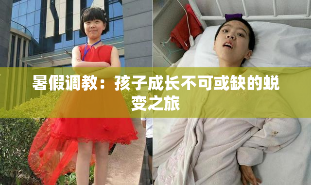 暑假调教：孩子成长不可或缺的蜕变之旅