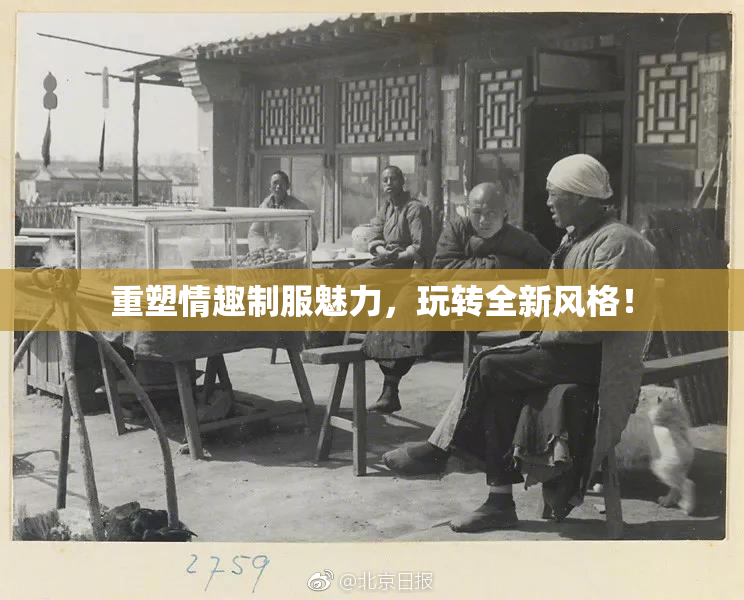 重塑情趣制服魅力，玩转全新风格！
