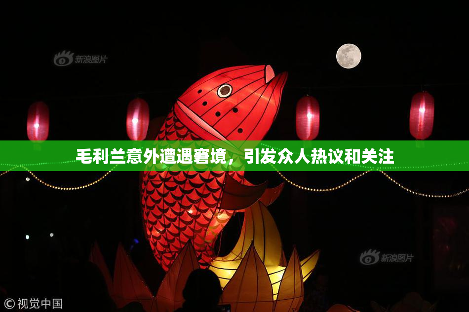 毛利兰意外遭遇窘境，引发众人热议和关注