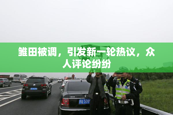 雏田被调，引发新一轮热议，众人评论纷纷