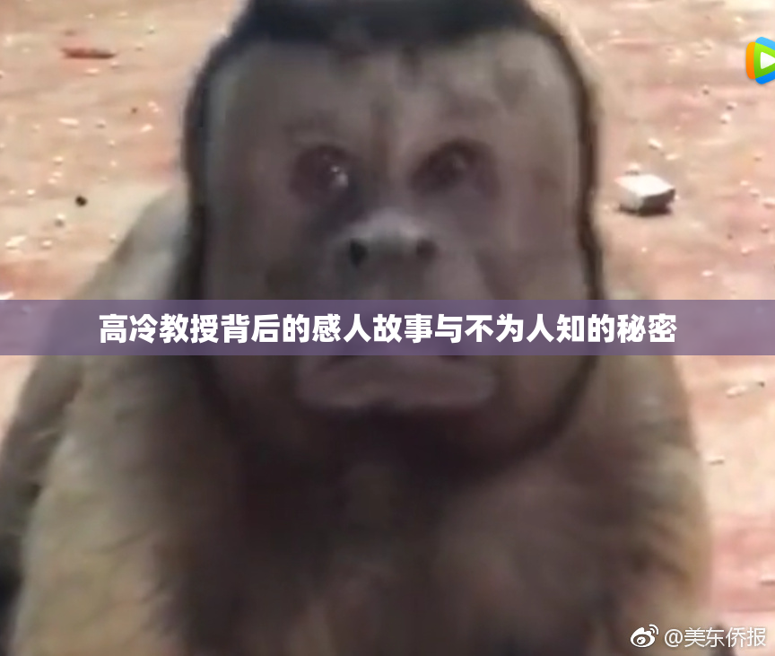 高冷教授背后的感人故事与不为人知的秘密