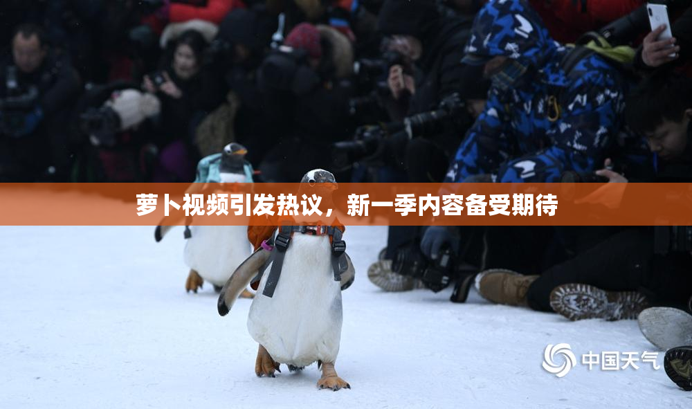 萝卜视频引发热议，新一季内容备受期待