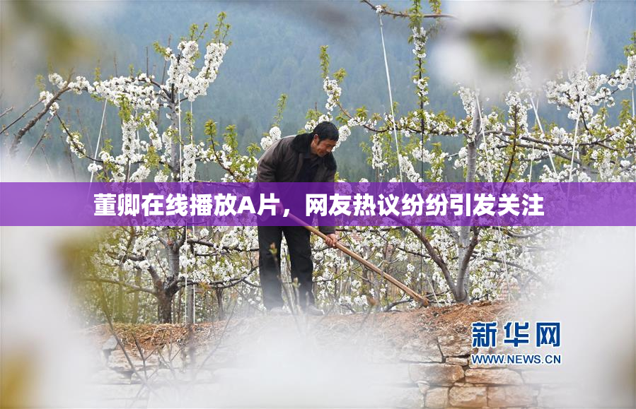 董卿在线播放A片，网友热议纷纷引发关注