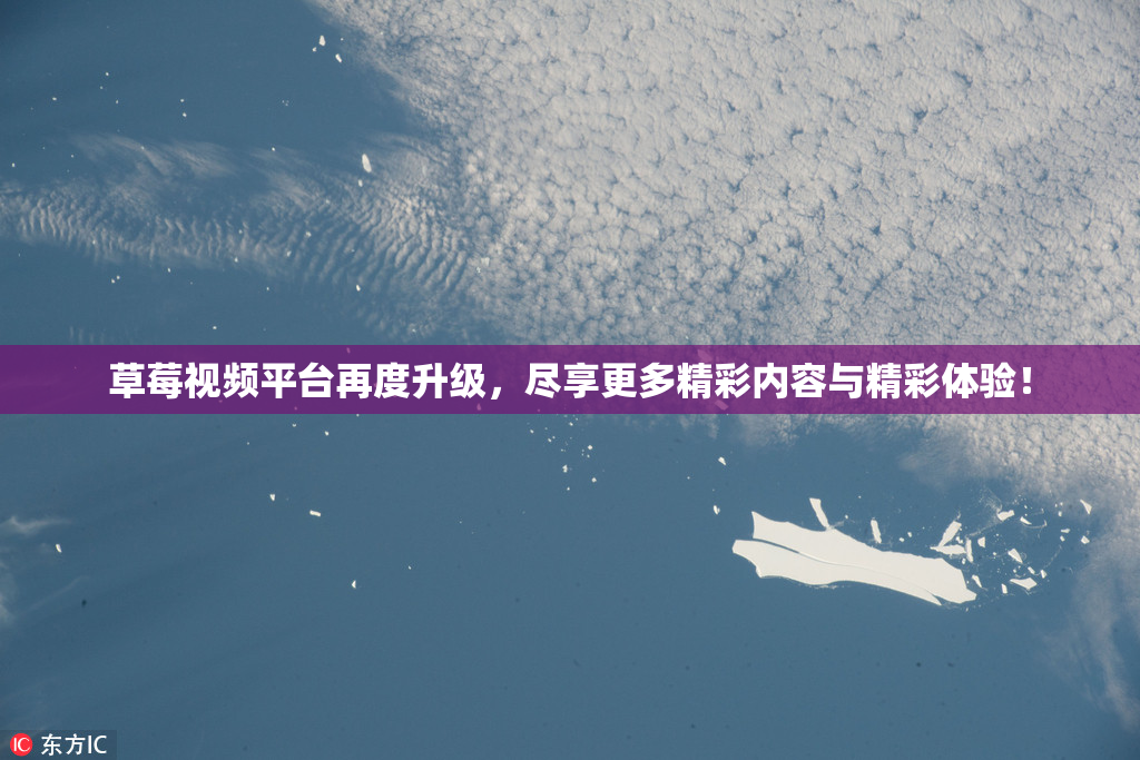 草莓视频平台再度升级，尽享更多精彩内容与精彩体验！