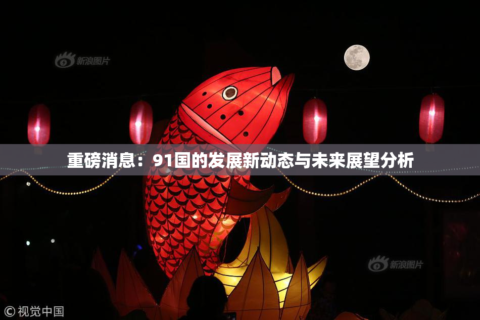 重磅消息：91国的发展新动态与未来展望分析