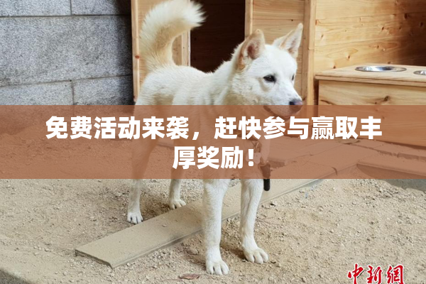免费活动来袭，赶快参与赢取丰厚奖励！