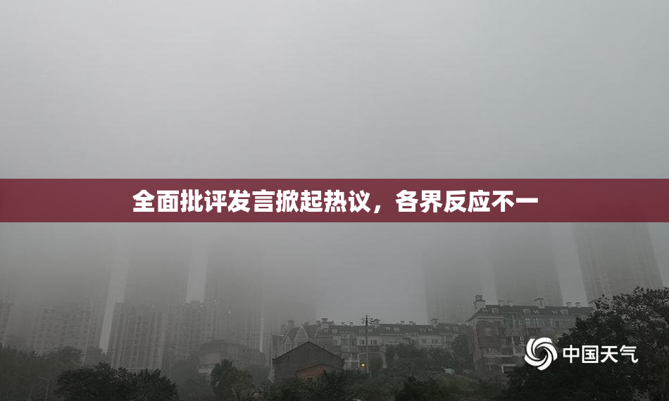 全面批评发言掀起热议，各界反应不一