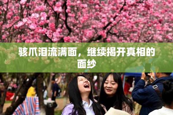 骇爪泪流满面，继续揭开真相的面纱