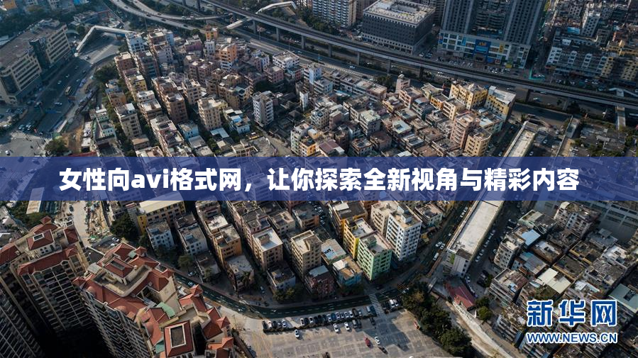女性向avi格式网，让你探索全新视角与精彩内容