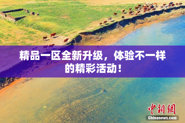 精品一区全新升级，体验不一样的精彩活动！
